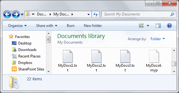 Folder icon with associated software files