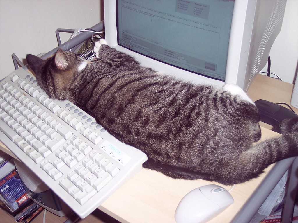 A tired kitten sleeping on a computer.