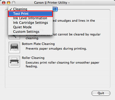 Adjusting print preferences like color balance, resolution, and paper size through ptoneclk.exe.
Performing maintenance tasks such as cleaning print heads or aligning cartridges using ptoneclk.exe.