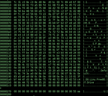 Binary code or a computer screen with an .exe file icon.