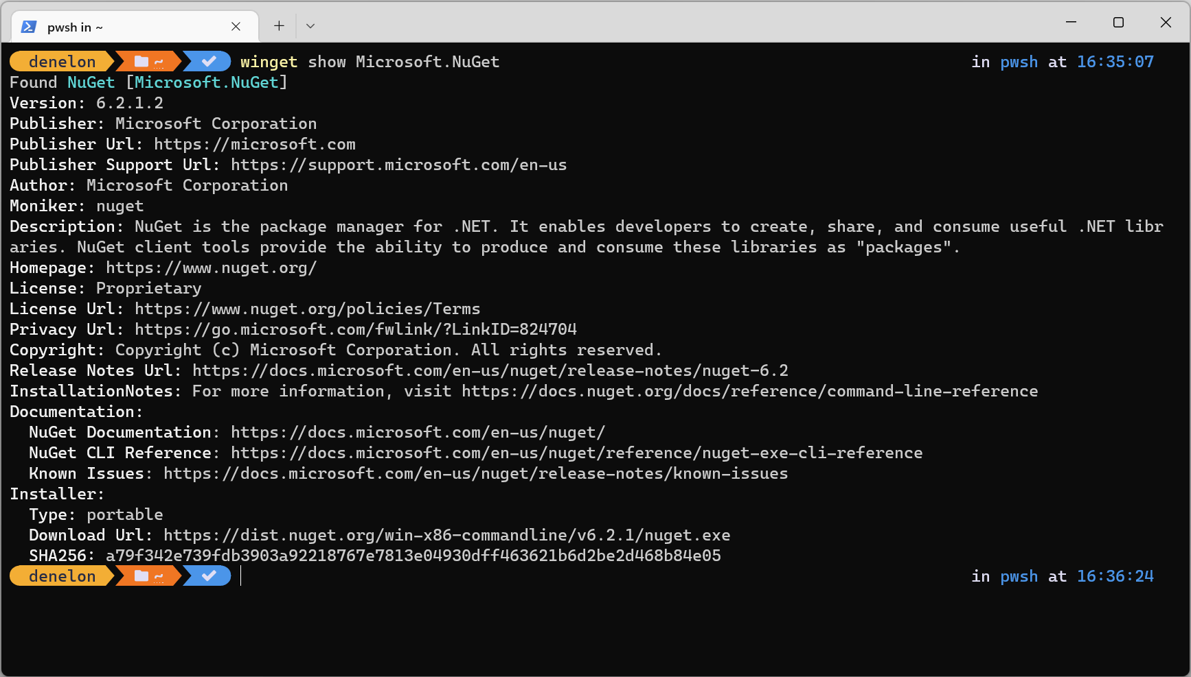 dotnet.exe command prompt window
