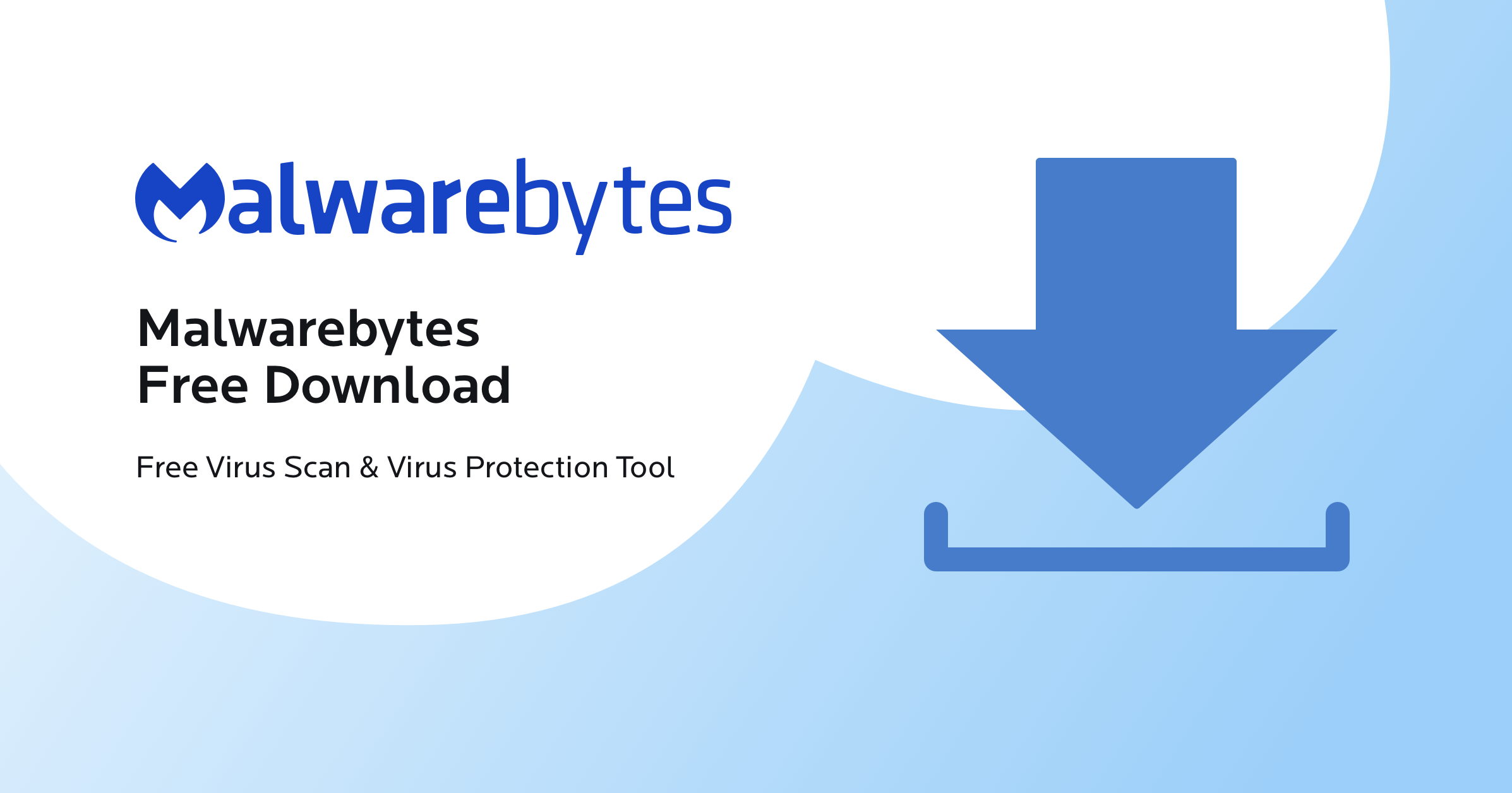 Download and install a reputable anti-malware program
Update the anti-malware program's database