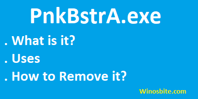 Ensure that Pnkbstra.exe is not a malware or virus:
Run a full system scan using a reliable antivirus software.