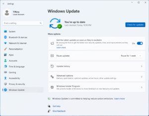 Go to the Windows Update settings and check for any available updates.
If updates are available, download and install them to ensure compatibility with the exe file runner.