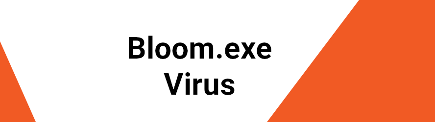 Is there a reliable antivirus software to detect and remove Bloom.exe?
Can Bloom.exe steal my personal information?