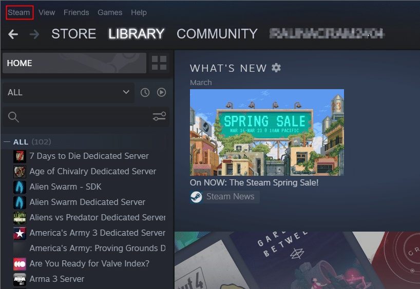 Open Steam
Click on Library in the top-left corner