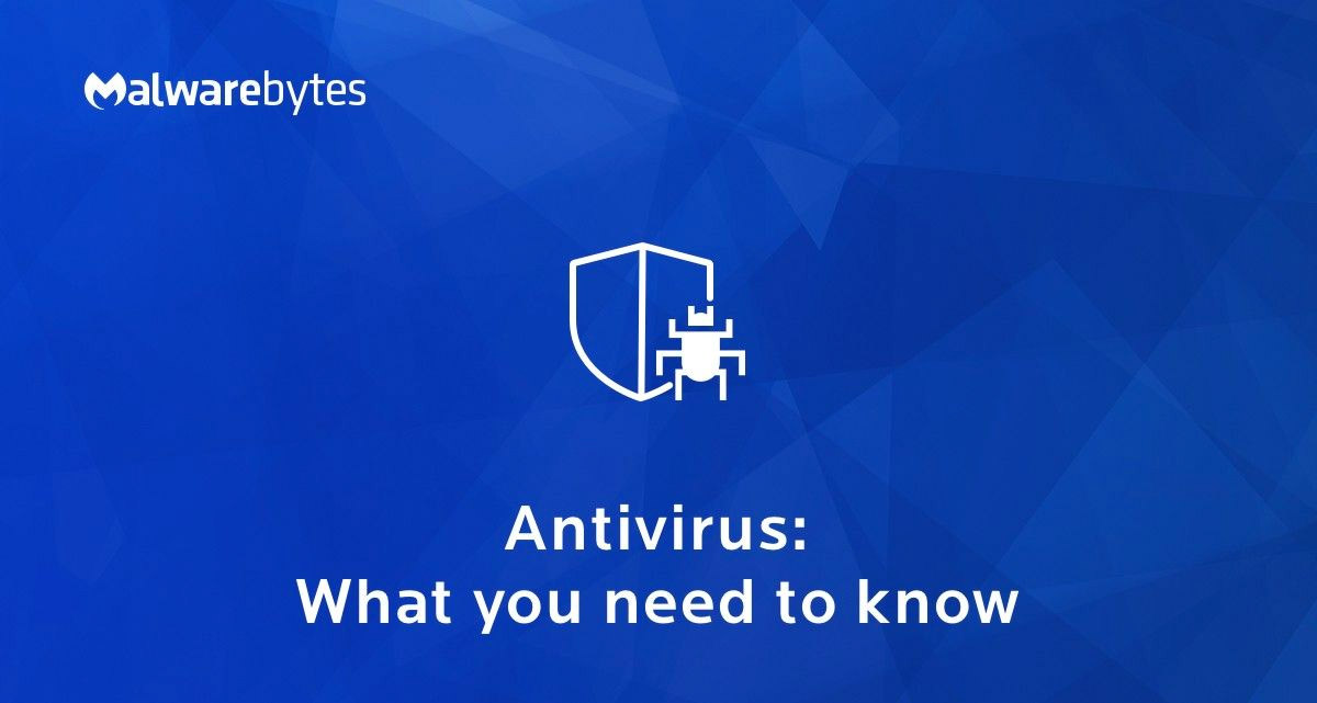 Open the official website of the antivirus software
Download the latest version of the antivirus program