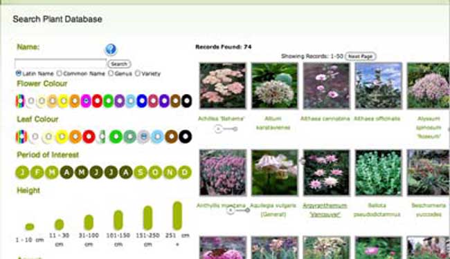 Plant database software: Provides a comprehensive database of various plant species, including information on their care requirements and growth habits.
Gardening planning software: Assists in planning and organizing a garden layout, including plant placement and design.