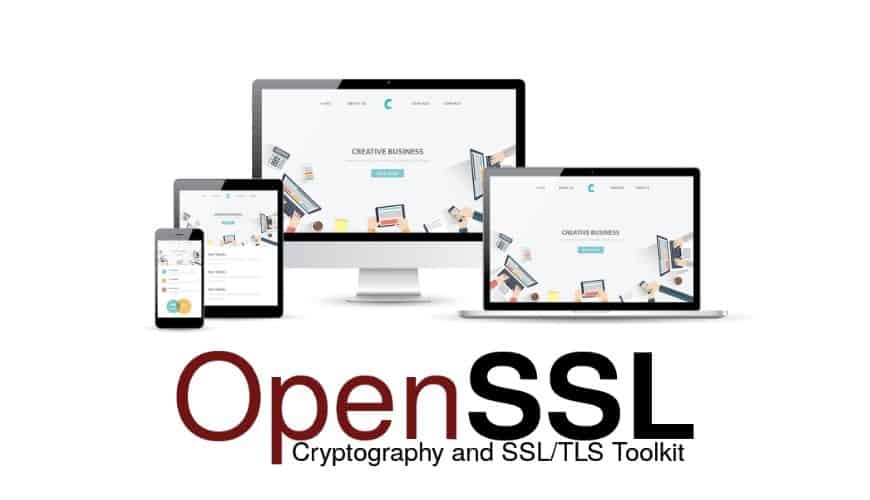 SSL/TLS library: A library that provides secure communication over computer networks
OpenSSL: An open-source implementation of the SSL and TLS protocols