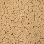 Ash Waste Base Tutorial: Creating Realistic Scorched Earth