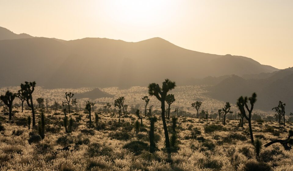 california clock sunset