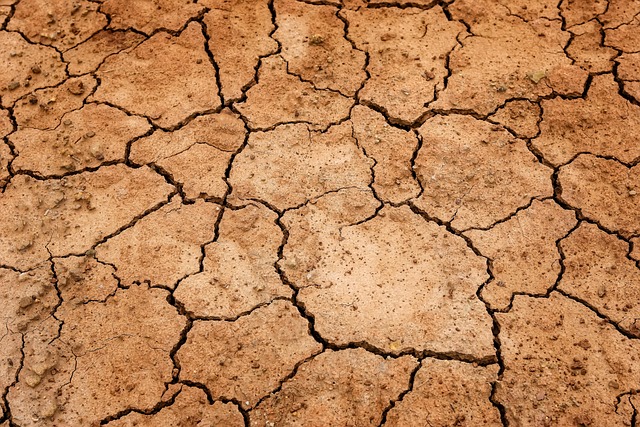 Close-up showing cracked earth texture on a miniature base, with layers of paint and flocking visible (Ash Waste Base Tutorial)