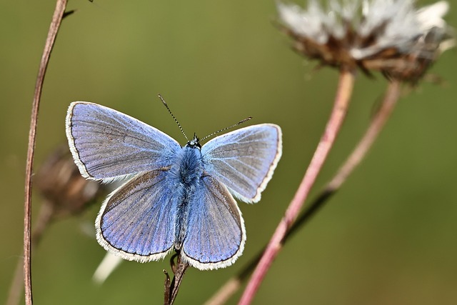 Close-up of Shimano XT M8100 derailleur and cassette on the Fuel EXe 9.8 XT