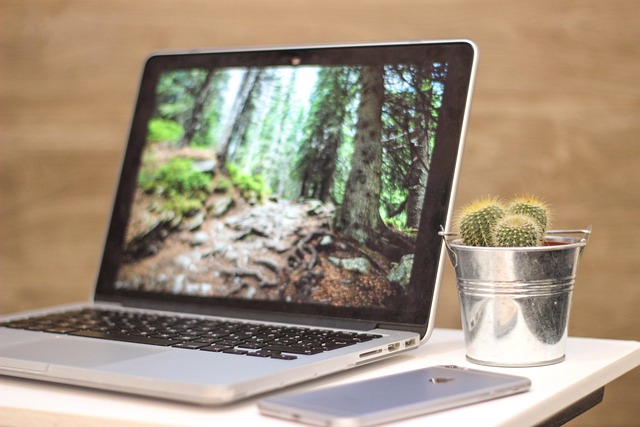 A open laptop displaying a forest photo next to a potted cactus