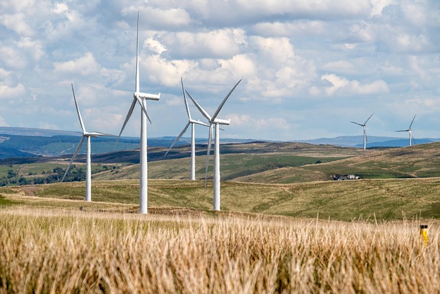 Multiple white wind turbines standing on rolling grassy hills