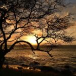 hawaii sunset beach