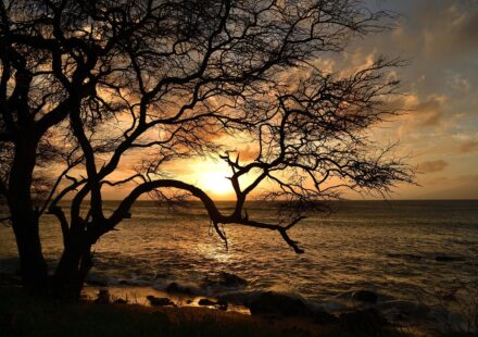 hawaii sunset beach