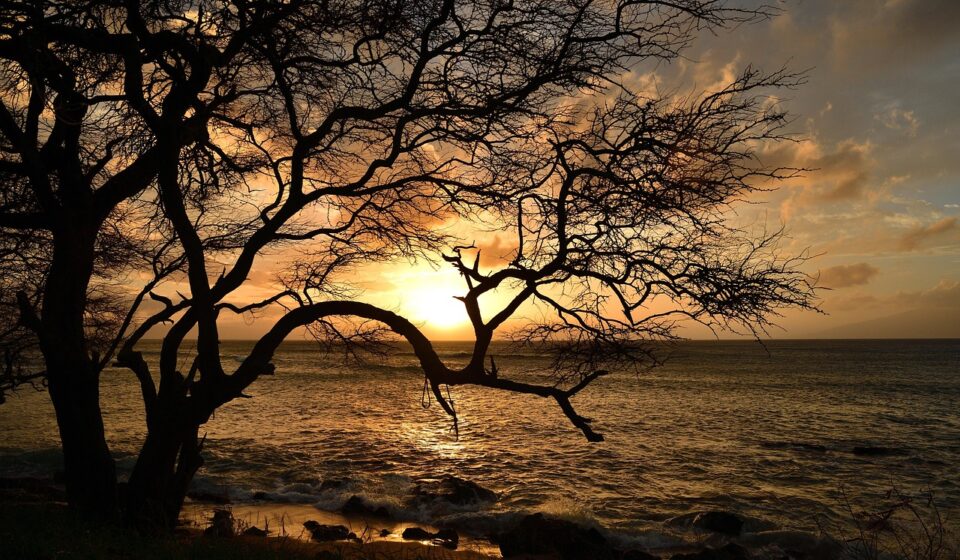 hawaii sunset beach
