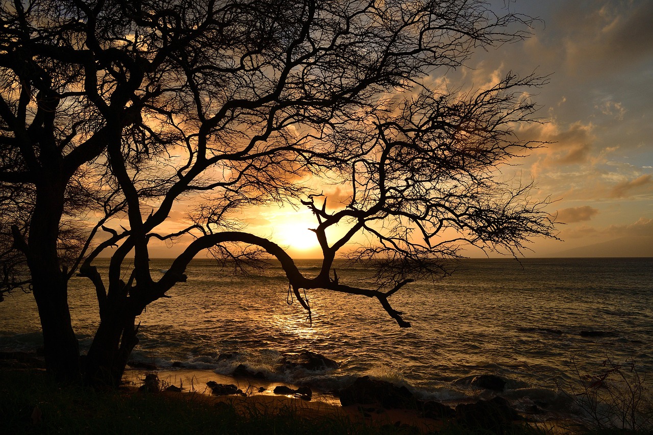 What Time Is It in Hawaii: Your 2026 Guide to Island Time