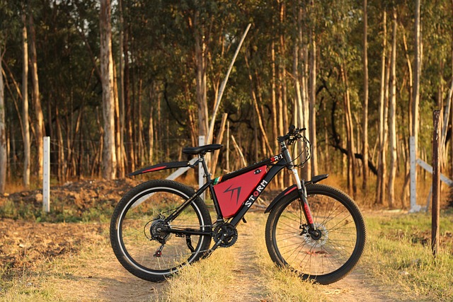 Key Features and Functionality