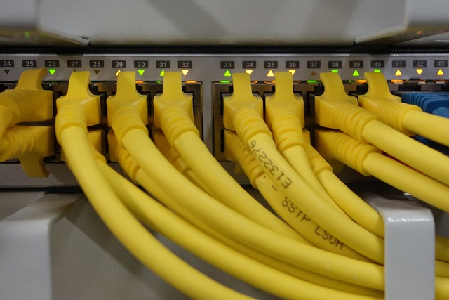 Yellow ethernet cables connected to a network switch