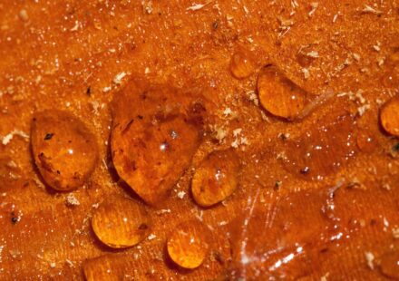 resin casting duplicates hobby