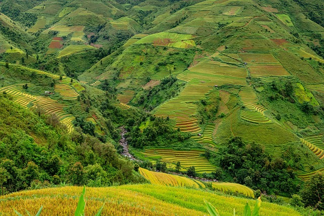 Seasonal Considerations for 2026 Travel