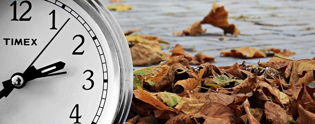 Time in St. Louis: Your Guide to Local Clocks and Schedules