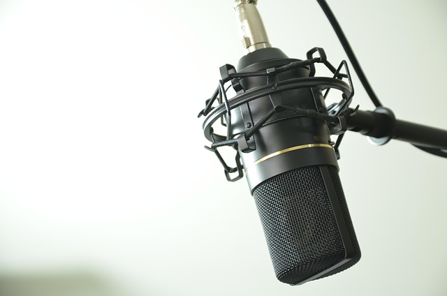 A professional studio condenser microphone on a shock mount