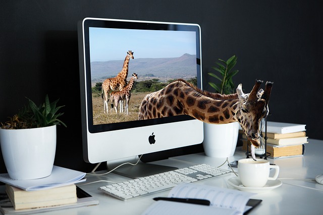 A giraffe neck extending out of a computer screen to drink coffee