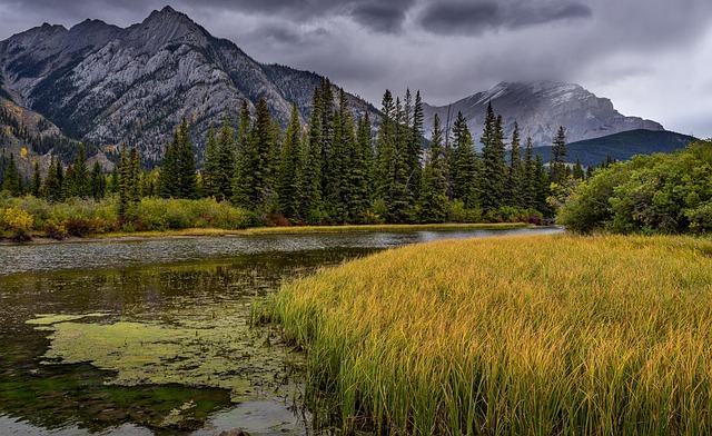 Scenic mountain landscape with river and pine trees