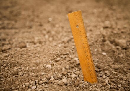 70cm ruler inch scale
