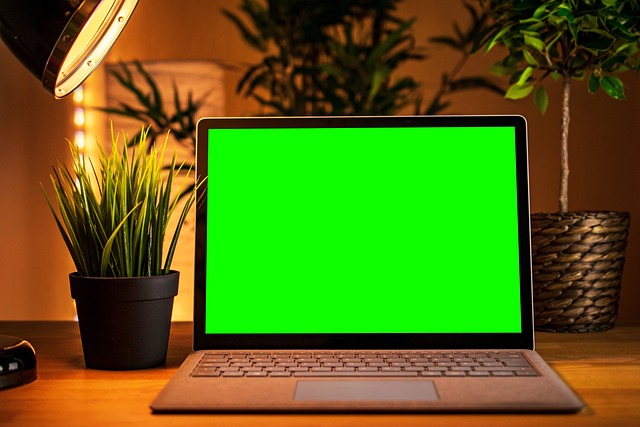 DIY Screen Replacement (Cost-Effective but Risky)