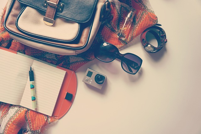 A neatly organized travel bag interior showing Mini DV tapes in their original cases, alongside other electronics.