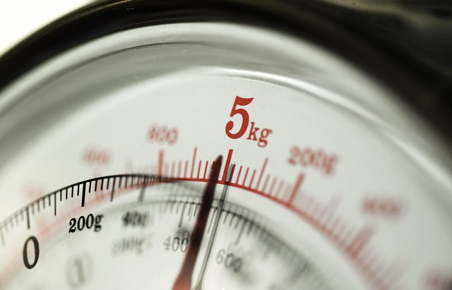 The Kilogram (kg)