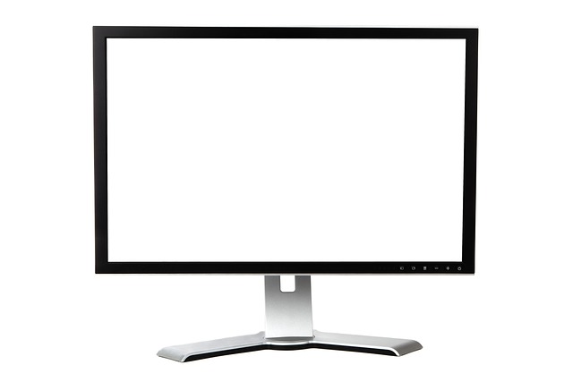 What Exactly is a "Shadow" on a Monitor?
