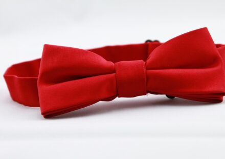 The Playboy Bunny Logo: History, Meaning & Evolution