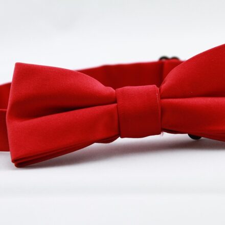 The Playboy Bunny Logo: History, Meaning & Evolution