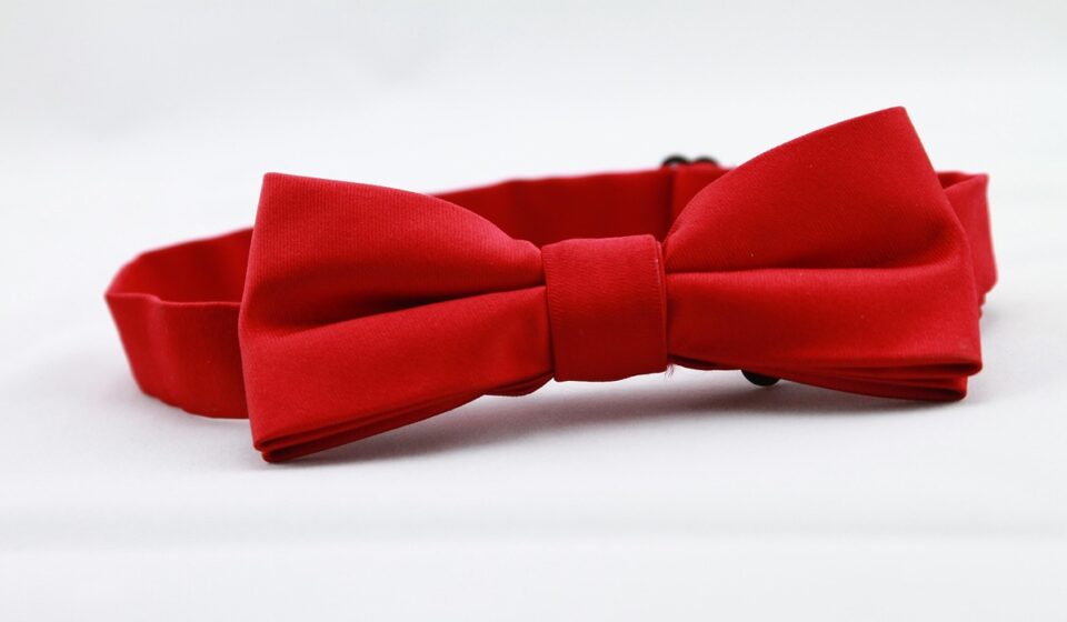 The Playboy Bunny Logo: History, Meaning & Evolution
